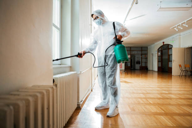 Emergency Pest Control Services in Larkspur, CA